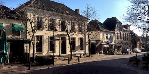 Het Stadsmuseum Bergh wordt gevestigd in het statige Van Esserenhuis.