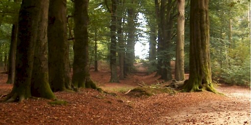 Op naar motte Montferland 2020 (foto: Antoon Berentsen)